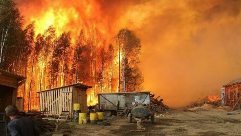 News @ prioslav.ru: Самые крупные лесные пожары в мире