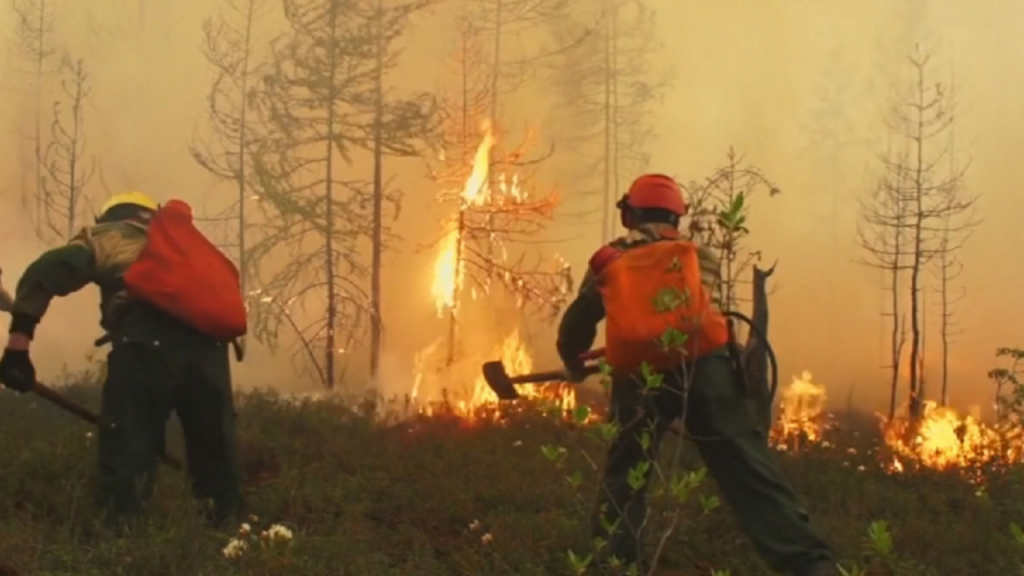 News @ prioslav.ru: Самые крупные лесные пожары в мире - 2
